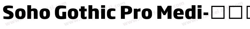 Soho Gothic Pro Medi字体转换